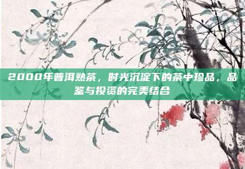 2000年普洱熟茶,时光沉淀下的茶中珍品,品鉴与投资的完美结合