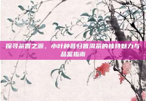 探寻茶香之源,小叶种昔归普洱茶的独特魅力与品鉴指南