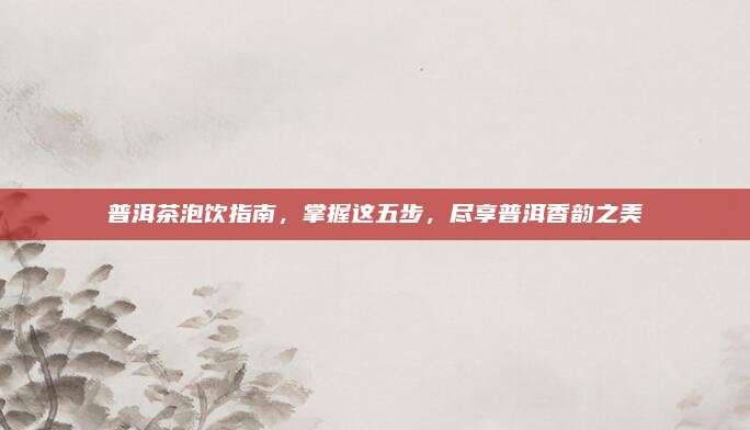 普洱茶泡饮指南,掌握这五步,尽享普洱香韵之美