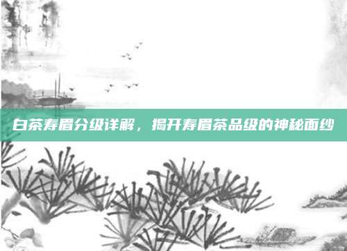 白茶寿眉分级详解,揭开寿眉茶品级的神秘面纱