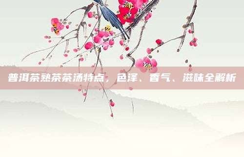 普洱茶熟茶茶汤特点，色泽、香气、滋味全解析