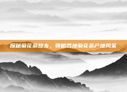 探秘菊花茶故乡，领略各地菊花茶产地风采