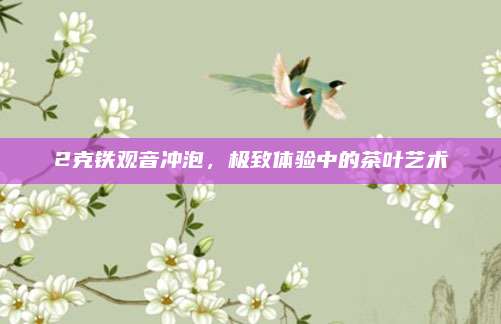 2克铁观音冲泡，极致体验中的茶叶艺术