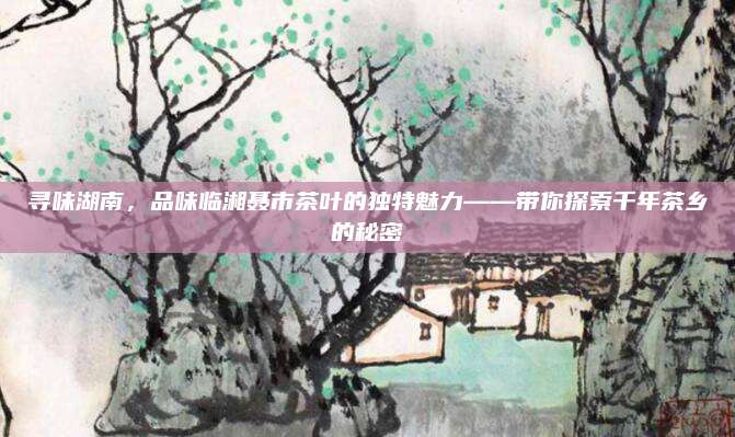 寻味湖南，品味临湘聂市茶叶的独特魅力——带你探索千年茶乡的秘密