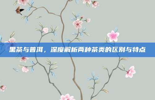 黑茶与普洱,深度解析两种茶类的区别与特点