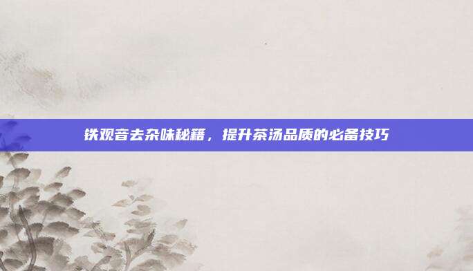铁观音去杂味秘籍,提升茶汤品质的必备技巧