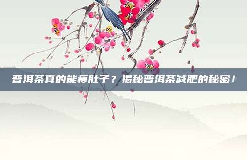 普洱茶真的能瘦肚子？揭秘普洱茶减肥的秘密！