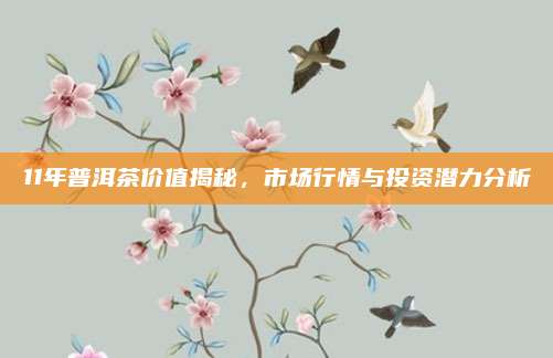 11年普洱茶价值揭秘，市场行情与投资潜力分析