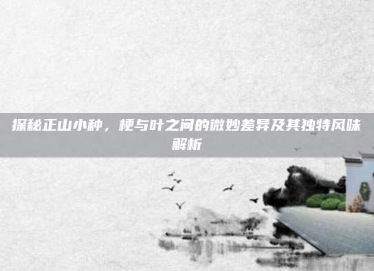 探秘正山小种，梗与叶之间的微妙差异及其独特风味解析