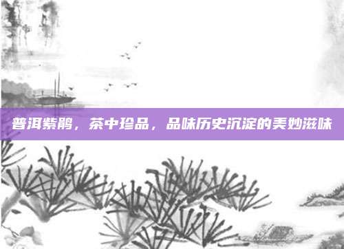 普洱紫鹃，茶中珍品，品味历史沉淀的美妙滋味