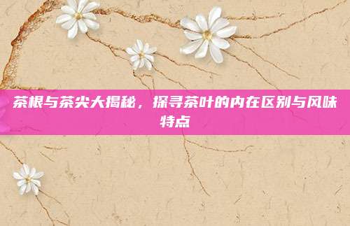 茶根与茶尖大揭秘,探寻茶叶的内在区别与风味特点