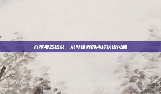 乔木与古树茶,茶叶世界的两种顶级风味