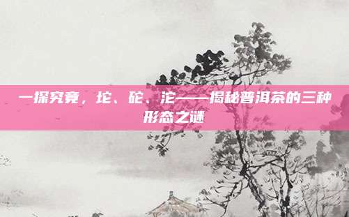 一探究竟,坨、砣、沱——揭秘普洱茶的三种形态之谜