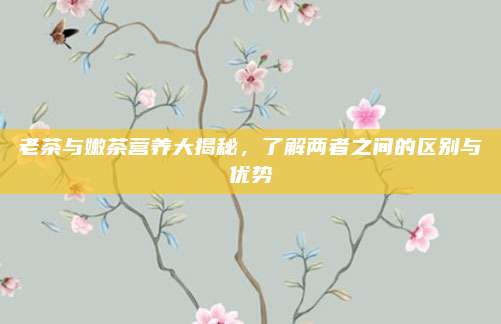 老茶与嫩茶营养大揭秘，了解两者之间的区别与优势