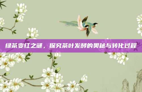 绿茶变红之谜，探究茶叶发酵的奥秘与转化过程