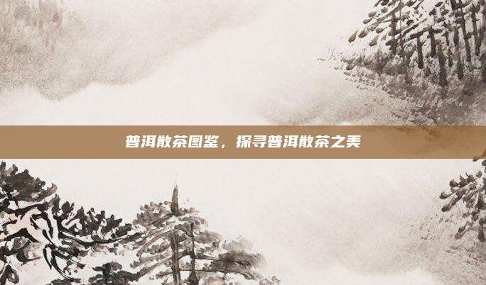 普洱散茶图鉴，探寻普洱散茶之美