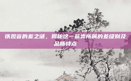 铁观音的差之谜，揭秘这一茶类所属的差级别及品质特点