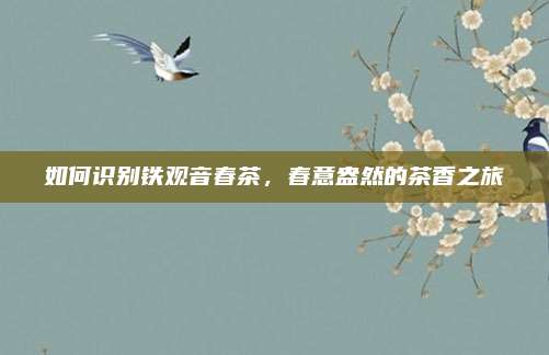 如何识别铁观音春茶，春意盎然的茶香之旅