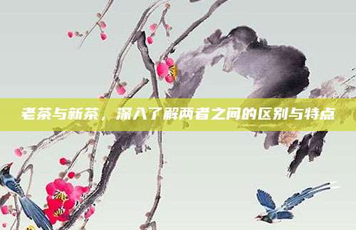 老茶与新茶，深入了解两者之间的区别与特点