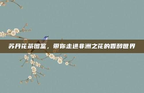 苏丹花茶图鉴,带你走进非洲之花的香醇世界