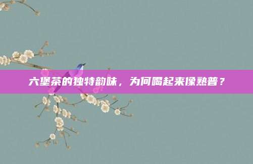 六堡茶的独特韵味，为何喝起来像熟普？