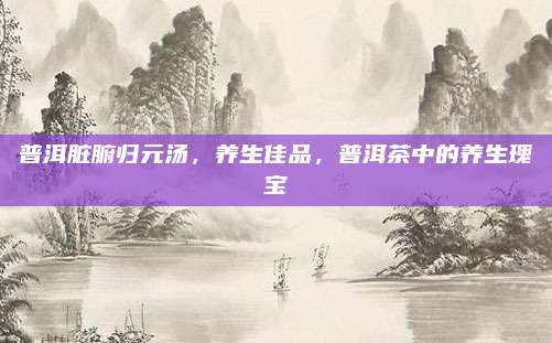 普洱脏腑归元汤，养生佳品，普洱茶中的养生瑰宝