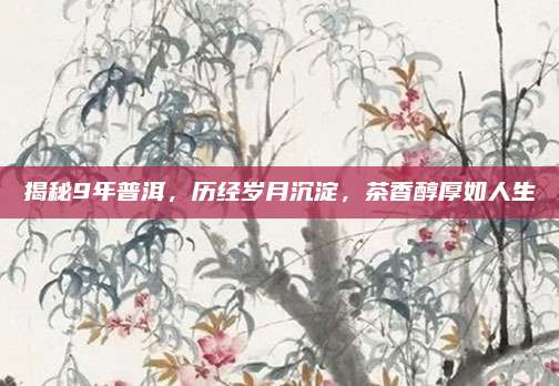 揭秘9年普洱，历经岁月沉淀，茶香醇厚如人生