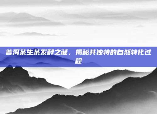 普洱茶生茶发酵之谜，揭秘其独特的自然转化过程
