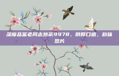 深度品鉴老同志熟茶9978，醇厚口感，韵味悠长