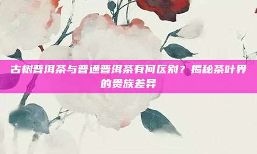 古树普洱茶与普通普洱茶有何区别?揭秘茶叶界的贵族差异