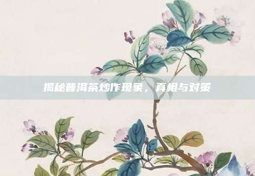 揭秘普洱茶炒作现象,真相与对策