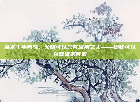 品鉴千年韵味，领略可以兴普洱茶之美——揭秘可以兴普洱茶官网