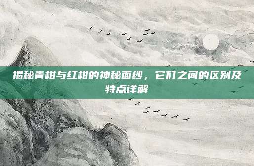 揭秘青柑与红柑的神秘面纱,它们之间的区别及特点详解