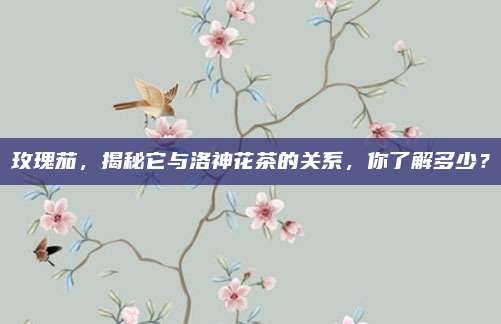 玫瑰茄,揭秘它与洛神花茶的关系,你了解多少?