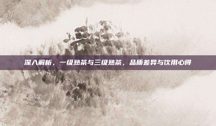 深入解析，一级熟茶与三级熟茶，品质差异与饮用心得