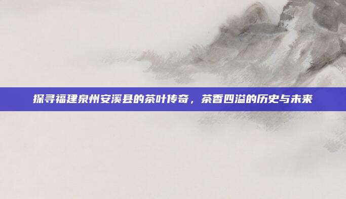 探寻福建泉州安溪县的茶叶传奇,茶香四溢的历史与未来