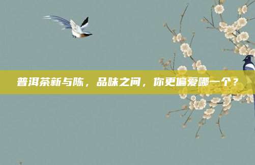 普洱茶新与陈，品味之间，你更偏爱哪一个？