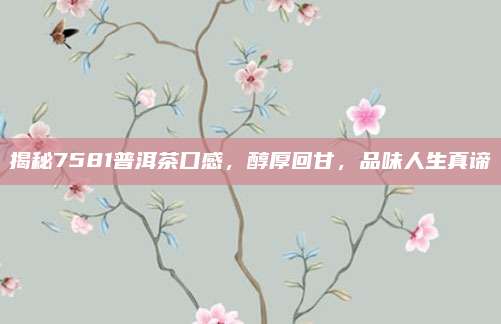 揭秘7581普洱茶口感，醇厚回甘，品味人生真谛