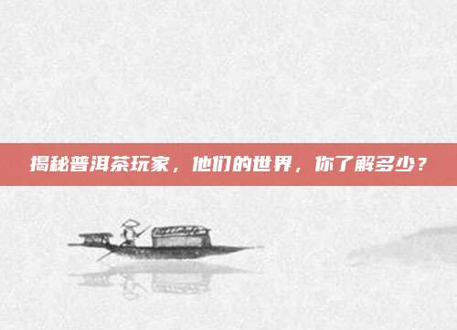 揭秘普洱茶玩家，他们的世界，你了解多少？