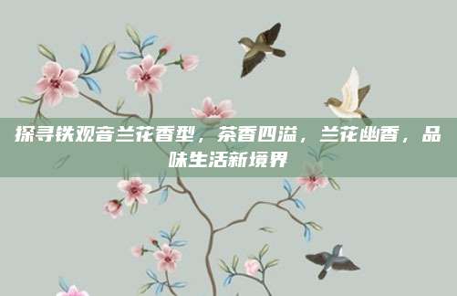 探寻铁观音兰花香型，茶香四溢，兰花幽香，品味生活新境界