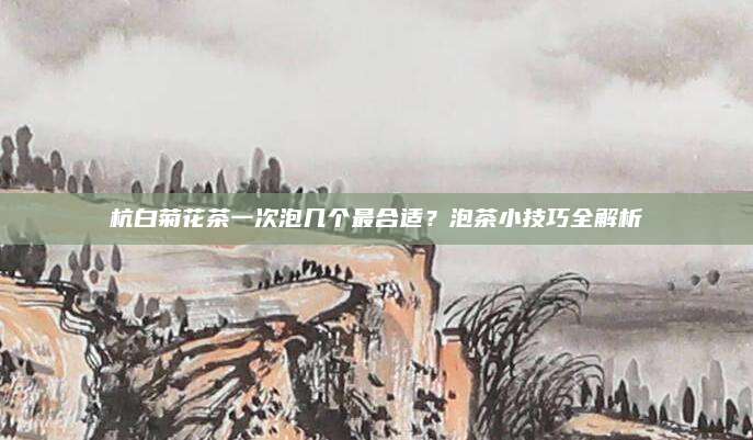 杭白菊花茶一次泡几个最合适？泡茶小技巧全解析