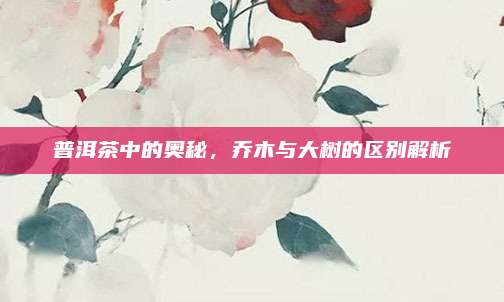 普洱茶中的奥秘，乔木与大树的区别解析