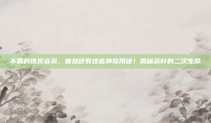 不喝的铁观音茶,竟然还有这些神奇用途!揭秘茶叶的二次生命