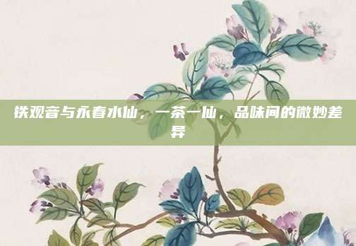 铁观音与永春水仙,一茶一仙,品味间的微妙差异