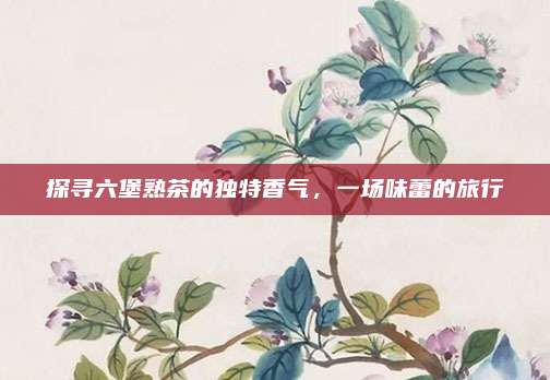 探寻六堡熟茶的独特香气，一场味蕾的旅行