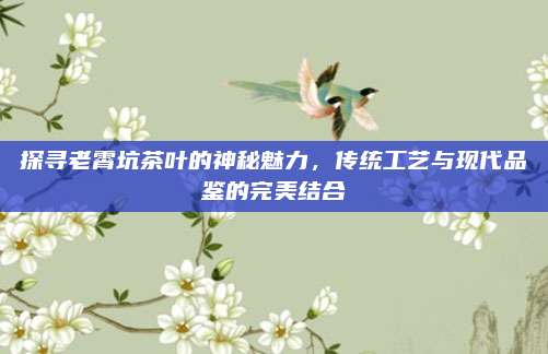 探寻老霄坑茶叶的神秘魅力，传统工艺与现代品鉴的完美结合