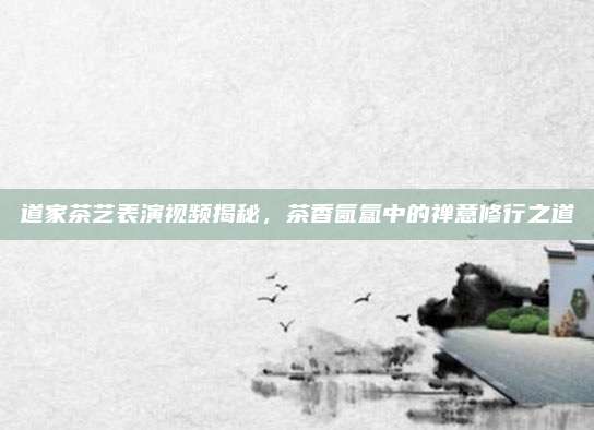 道家茶艺表演视频揭秘，茶香氤氲中的禅意修行之道