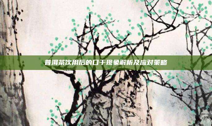 普洱茶饮用后的口干现象解析及应对策略