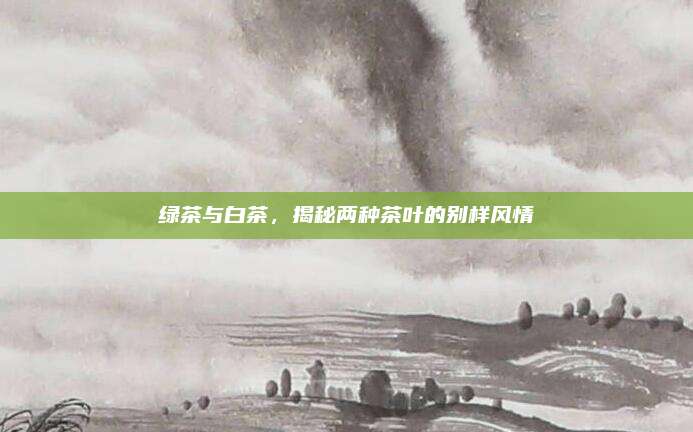 绿茶与白茶，揭秘两种茶叶的别样风情