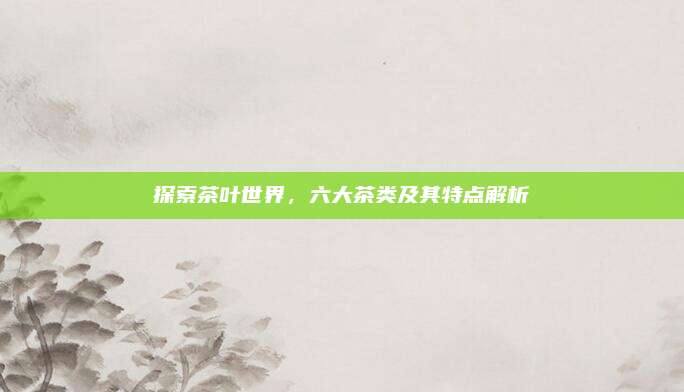 探索茶叶世界，六大茶类及其特点解析